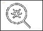 KANZI插图22